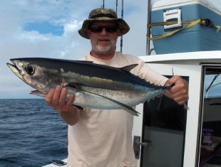 Great days of herring being harvest are in the past