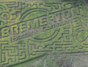 Corn maze turning Minder Farm into an agri-entertainment center